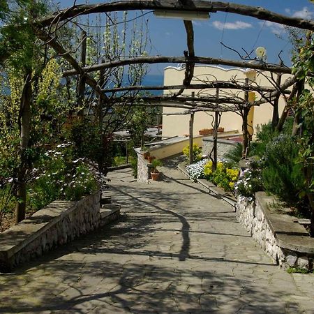 Villa Romantica Massa Lubrense Exteriér fotografie