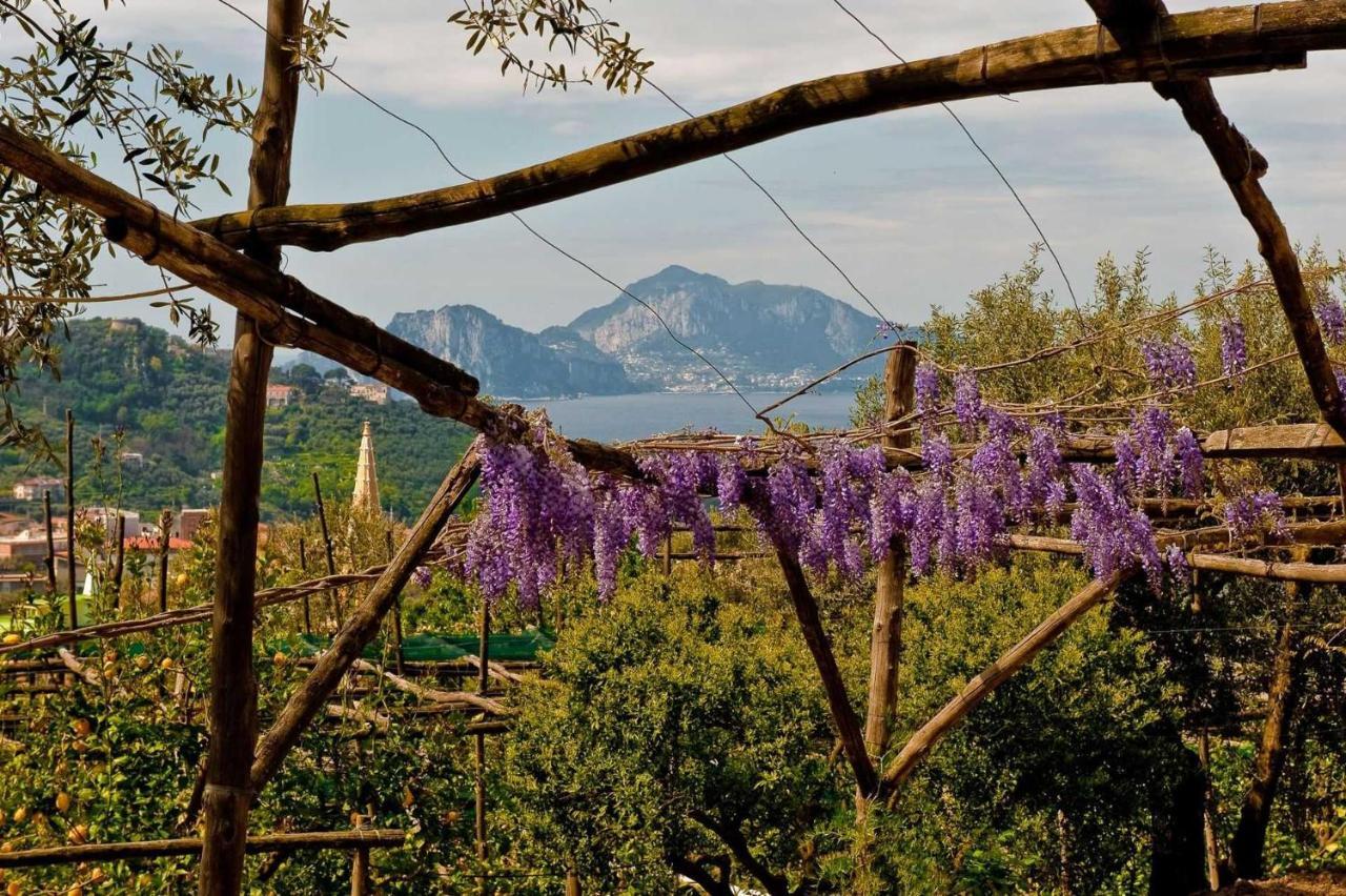 Villa Romantica Massa Lubrense Exteriér fotografie